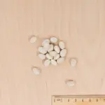 Légumes Secs - Haricot Nain à Ecosser Cocagne (type Paimpolais) - 20 m - MEDIA_3D